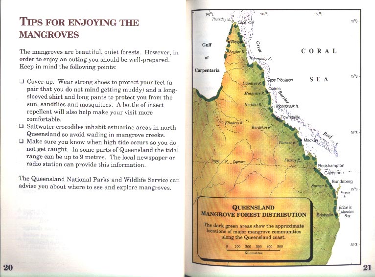 Field Guide to the Mangroves of Queensland - aus dem Buch